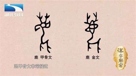 鹿的造詞|漢語多功能字庫